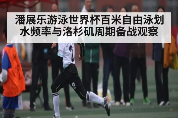 潘展乐游泳世界杯百米自由泳划水频率与洛杉矶周期备战观察